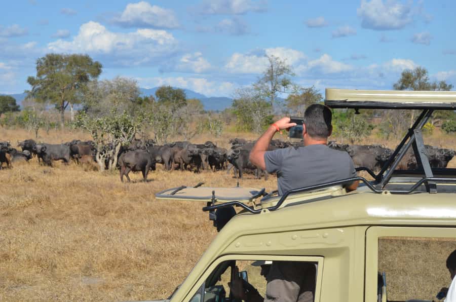 From Zanzibar: day Safari to Mikumi National Park - The open-sided 4x4 game drive