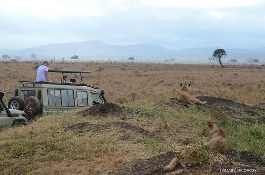 From Zanzibar: day Safari to Mikumi National Park - The 7 a.m. arrival at Mikumi Airstrip