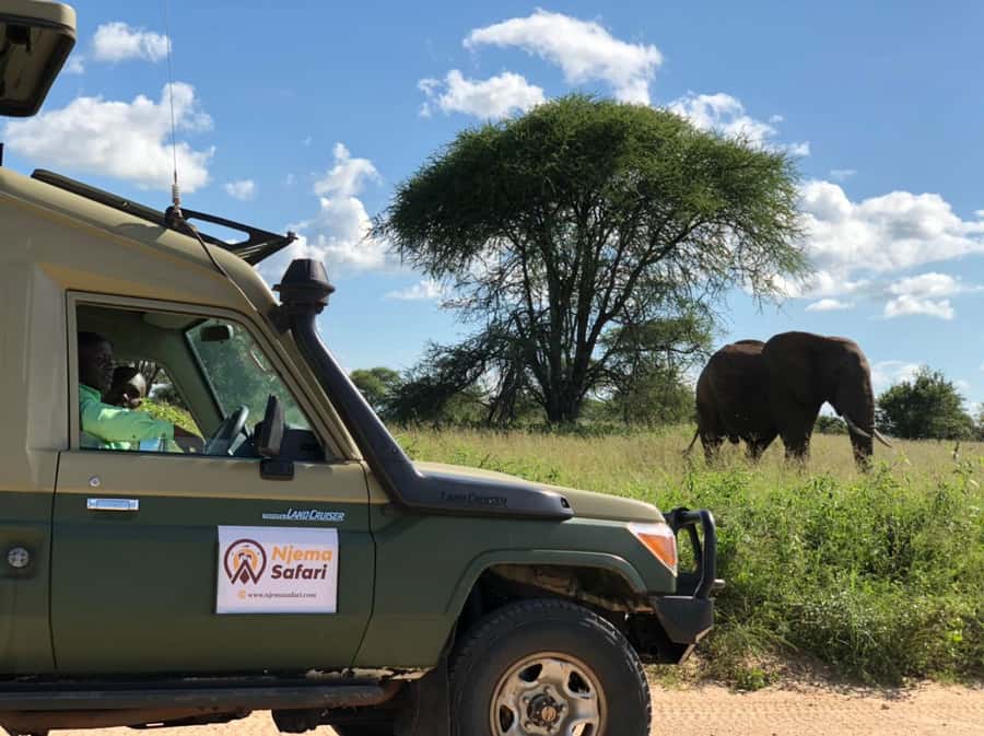 From Zanzibar: Mikumi National Park Guided Safari - Flying from Zanzibar to Mikumi before breakfast
