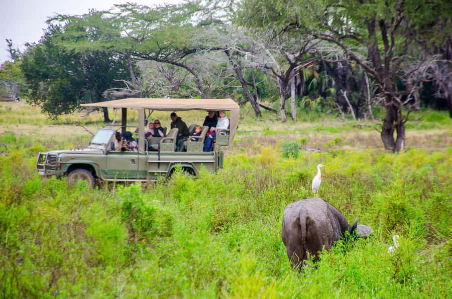 From Zanzibar: Mikumi National Park Guided Safari - What the $550 price really covers