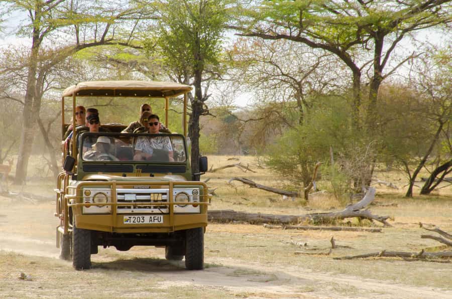 From Zanzibar: Mikumi National Park Guided Safari - Booking advice for a smoother day