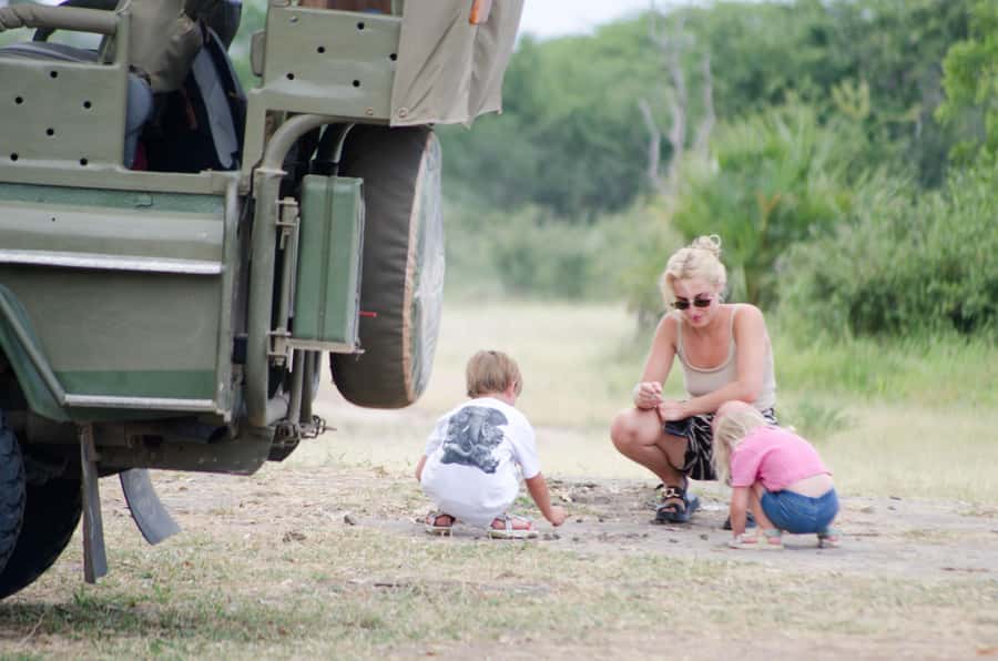 From Zanzibar: Mikumi National Park Guided Safari - Should you book the Mikumi day safari from Zanzibar?