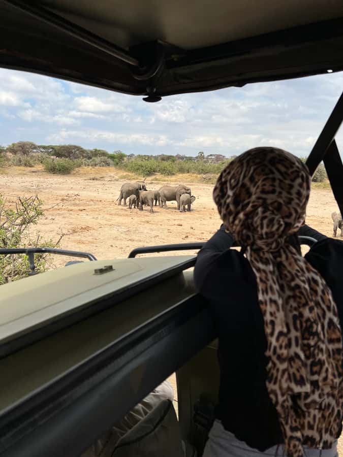 From Zanzibar: Nyerere National Park Game Drive with Lunch - The picnic lunch at 1:30 PM
