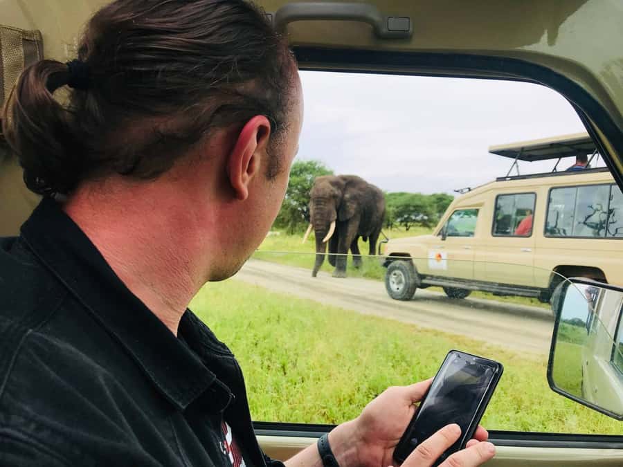 From Zanzibar: Nyerere National Park Game Drive with Lunch - What the $550 price really covers