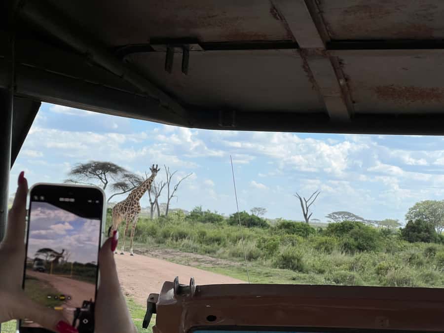 From Zanzibar: Nyerere National Park Game Drive with Lunch - Service risks you should take seriously