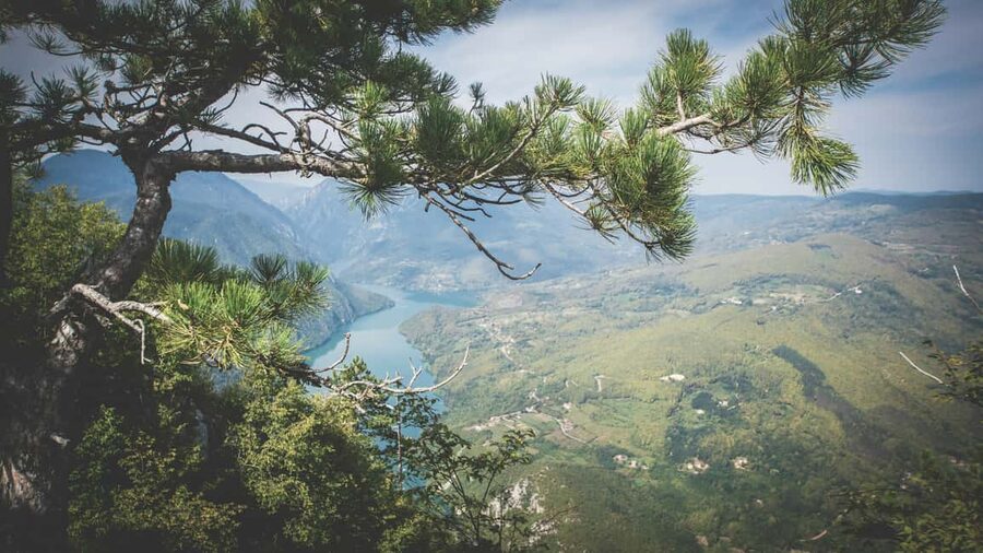 From Zlatibor/Užice: Tara National Park Adventure - Zmajevac gives you the first big view