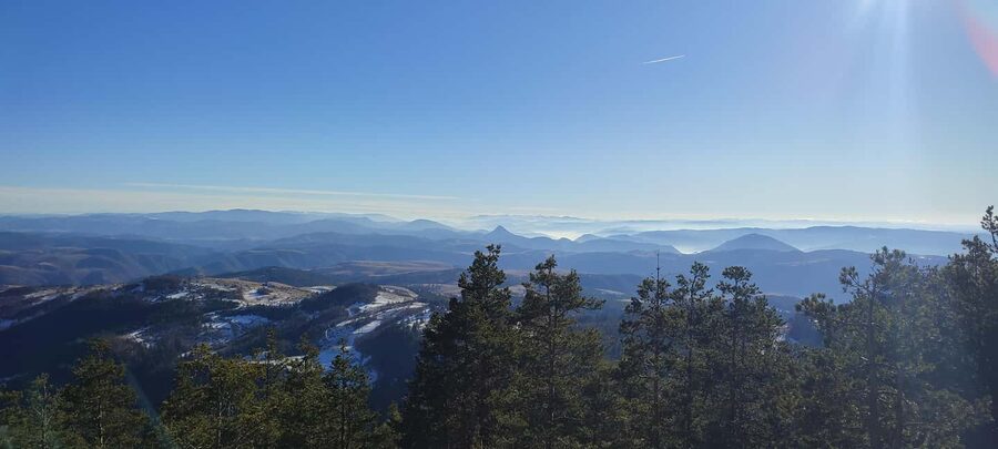 From Zlatibor/Užice: Tara National Park Adventure - Spajići Lake and Tara’s special spruce