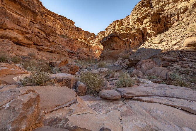 Full-Day 8 Hour Jeep Tour into Wadi Rum Protected Area with Stay - Mushroom Rock and Burdah Rock Bridge