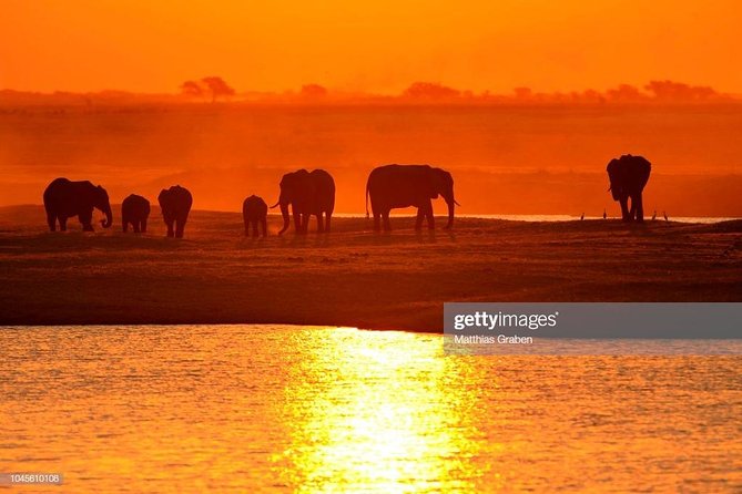 Full Day Chobe National Park Big 5 Safari - Francis and Cobra: two useful points of contact