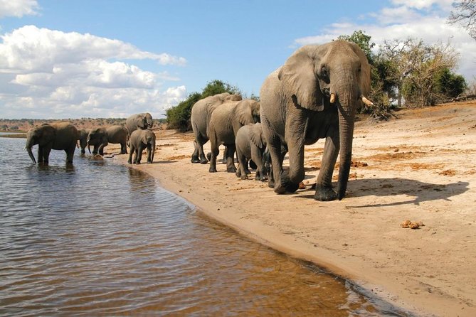 Full Day Chobe National Park Big 5 Safari - Weather and cancellation rules