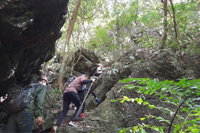 Full-Day Cuc Phuong National Park Hiking Tour - Wildlife conservation and the Primate Rescue Centre