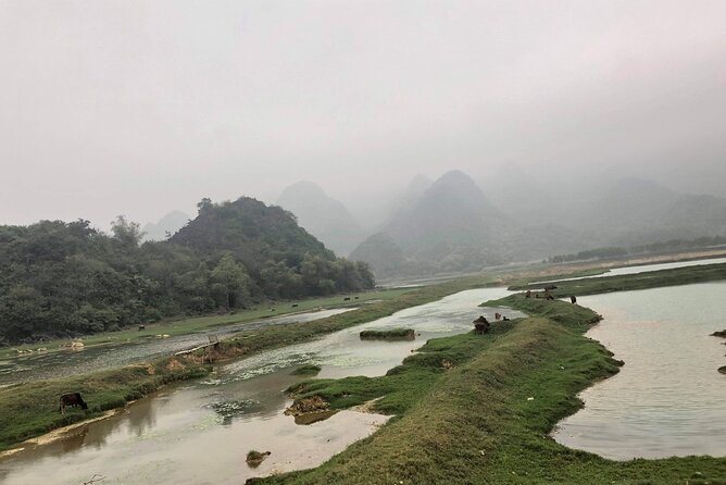 Full-Day Cuc Phuong National Park Hiking Tour - Lunch, snacks, and the extra costs