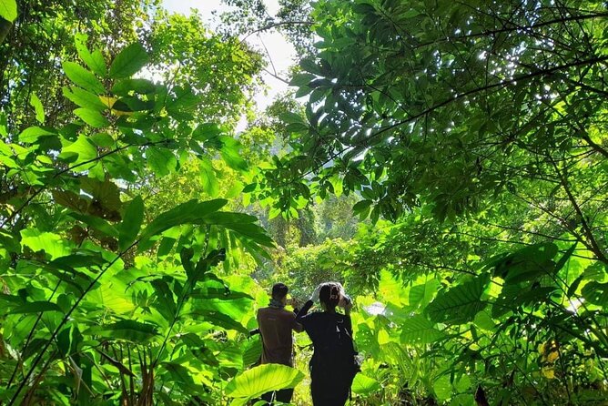 Full-Day Cuc Phuong National Park Hiking Tour - Timing, transport, and group size
