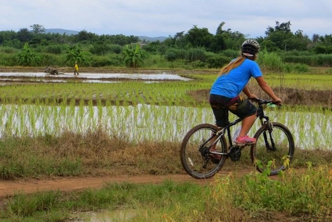 Full-Day Cycle and Kayak trip in Sri Lanna National Park - From Chiang Mai streets to the Mae Ngat valley