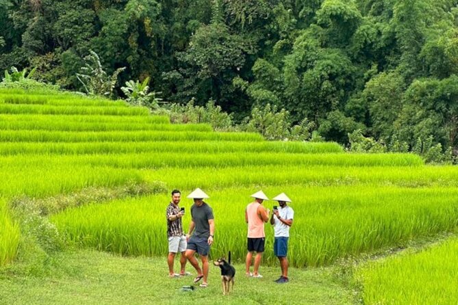 Full-Day Doi Inthanon National Park Tour with Trek and Pagodas - Thailand’s highest point, with modest expectations