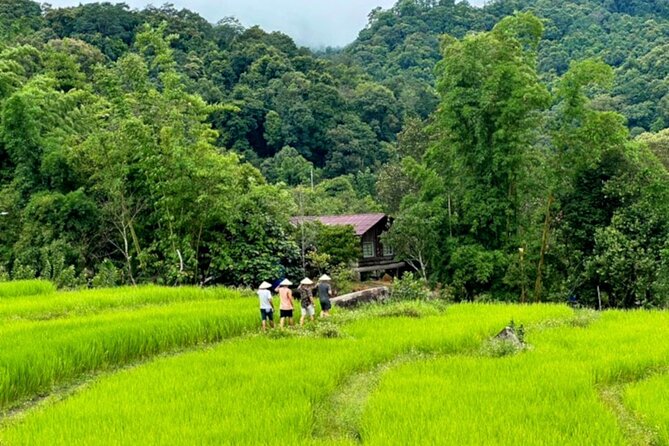 Full-Day Doi Inthanon National Park Tour with Trek and Pagodas - The Pha Dok Siew Nature Trail