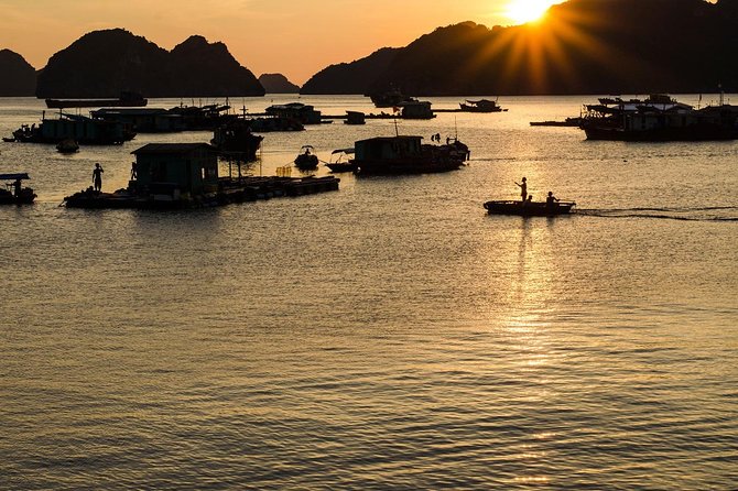 Full day hikes, Cycles, Kayaks & swims in Cat Ba National park - Three hours through Cat Ba’s tropical forest
