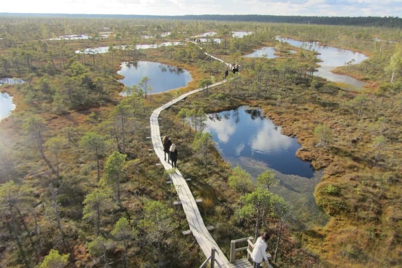 Full Day in Jurmala and Kemeri National Park - The wind-shaped dune at Ragakapa Nature Park