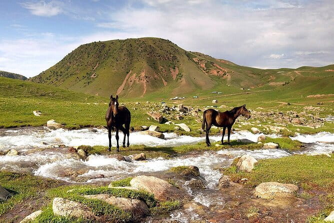Full Day in Nature at Chunkurchak and Ala Archa National Park - The guide can shape the day
