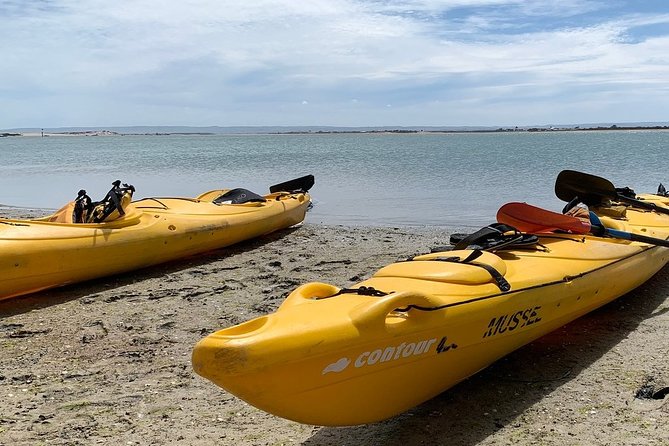 Full Day Kayaking Tour in Coorong National Park - Morning tea, fish burgers, and a practical lunch break