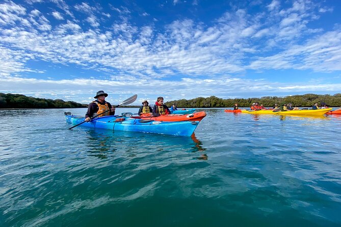 Full Day Kayaking Tour in Coorong National Park - What the guides add