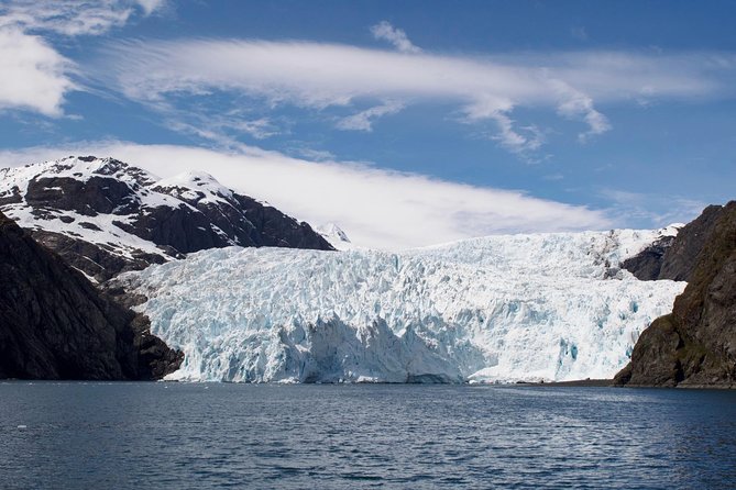 Full-Day Kenai Fjords National Park Cruise - Bear Glacier and the first ice