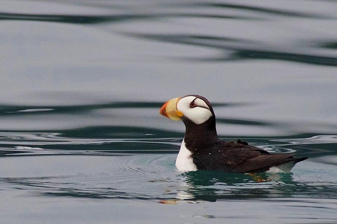 Full-Day Kenai Fjords National Park Cruise - Life aboard the catamaran