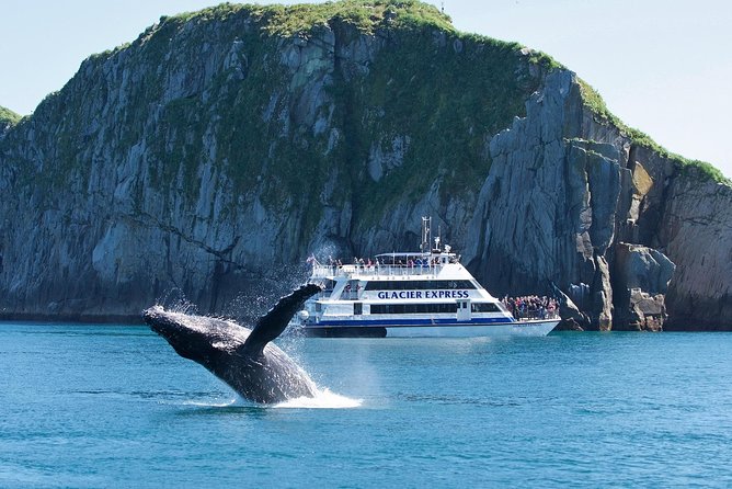 Full-Day Kenai Fjords National Park Cruise - Holgate Glacier brings you close to calving ice