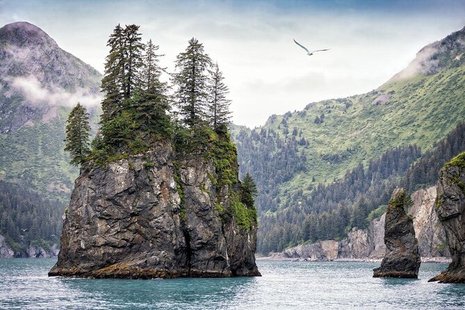 Full-Day Kenai Fjords National Park Northwestern Cruise - Key points to know before you book