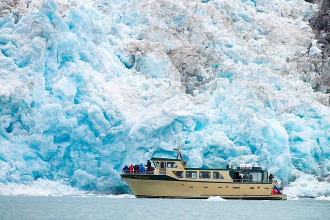 Full-Day Kenai Fjords National Park Northwestern Cruise - Northwestern, Anchor, and Ogive Glaciers