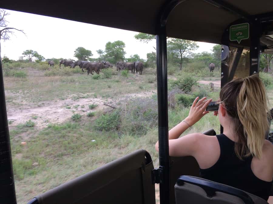 Full-Day Private Big 5 Safari in Kruger National Park - Before sunrise from Hazyview or Skukuza