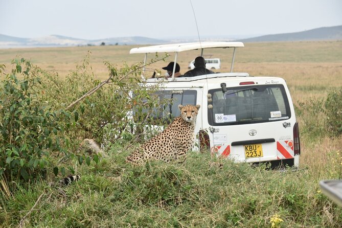 Full Day Private Tour of Tsavo East National Park from Mombasa - Aruba Dam and the best chance for concentrated wildlife