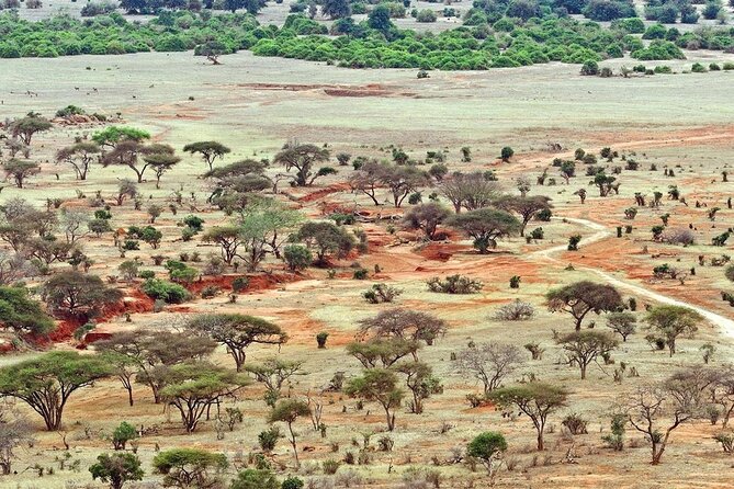 Full Day Private Tour of Tsavo East National Park from Mombasa - Lunch inside Tsavo East