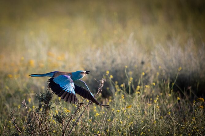 Full-day Private Wilderness tour in Vashlovani National Park - Why Vashlovani deserves a full day