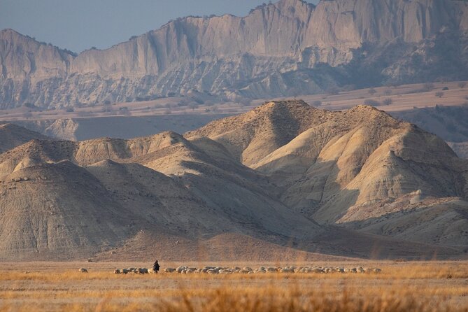 Full-day Private Wilderness tour in Vashlovani National Park - Ancient ruins and questions without easy answers