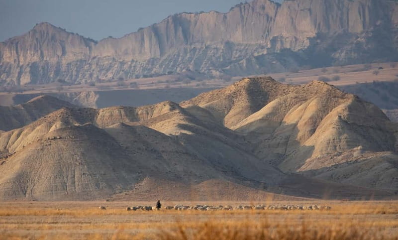 Full-day Private Wilderness tour in Vashlovani National Park - Price, group size, and who gets good value