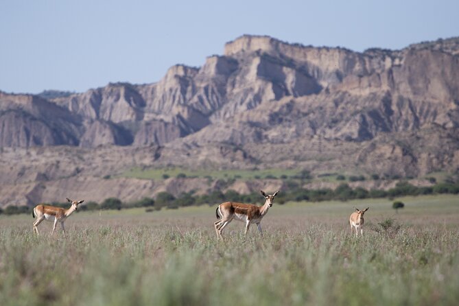 Full-day Private Wilderness tour in Vashlovani National Park - The rangers’ station and the first big views