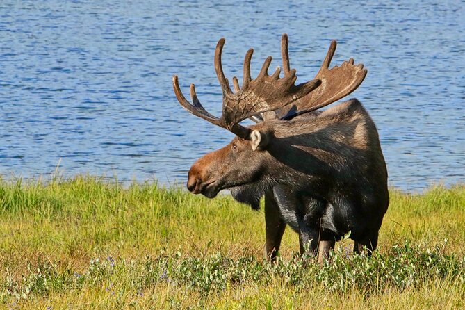 Full-Day Rocky Mountain National Park "Over The Top Tour" - RMNPhotographer - Key points to know before booking