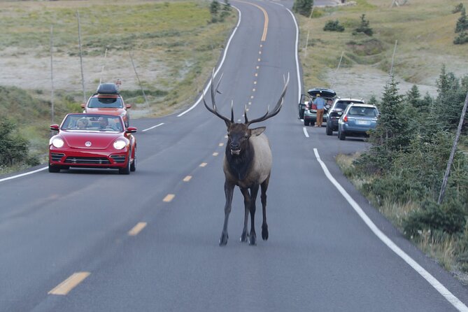 Full-Day Rocky Mountain National Park "Over The Top Tour" - RMNPhotographer - Grand Lake lunch and a change of scenery