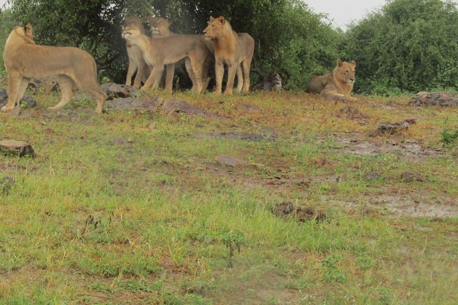 Full Day Safari Tour of Pilanesberg National Park, Open Jeep experience - Entering Pilanesberg in an open safari vehicle