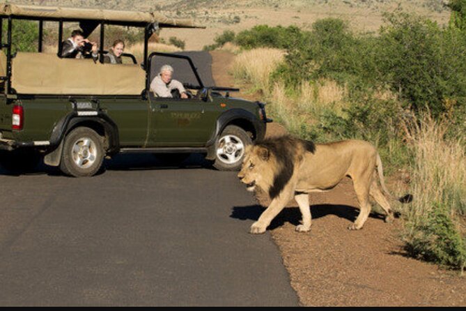Full Day Safari Tour of Pilanesberg National Park, Open Jeep experience - Why the guide matters more than the vehicle