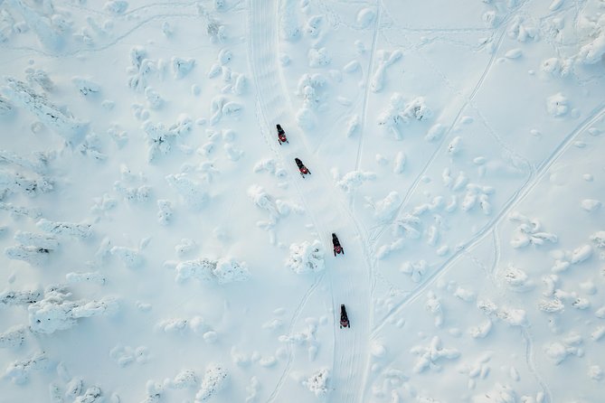 Full Day Snowmobile Safari into the Lappish Wilderness in Rovaniemi - A Campfire Meal in the Middle of the Day