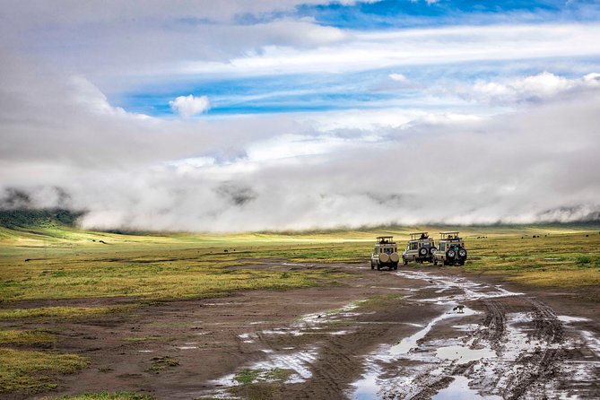 Full Day To Arusha National Park - What the $250.18 price means