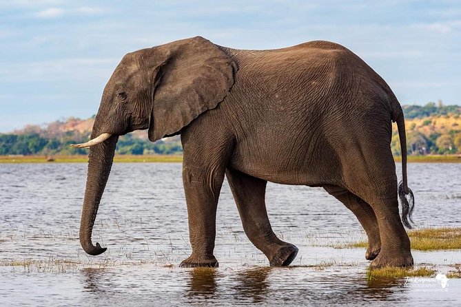 Full Day To Arusha National Park - Who should book this six-hour visit