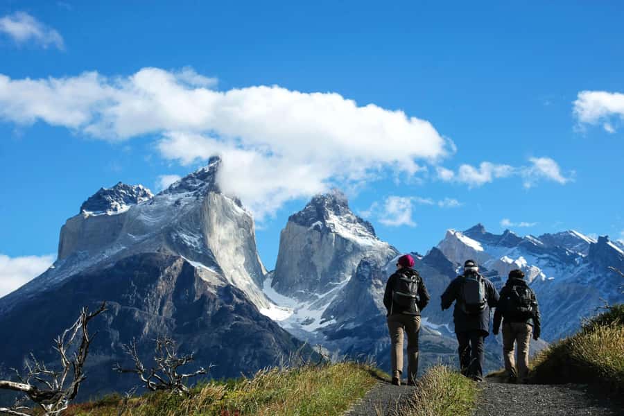 Full-Day Torres del Paine National Park from El Calafate - Key points to know before booking