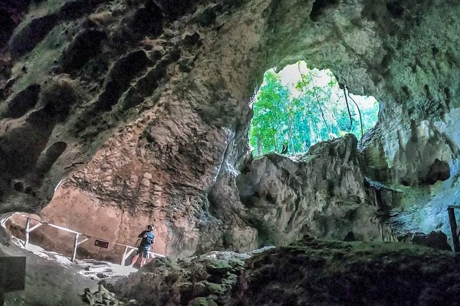 Full-Day Tour of Cayo Levantado and Los Haitises National Park - A realistic pace for six to seven hours