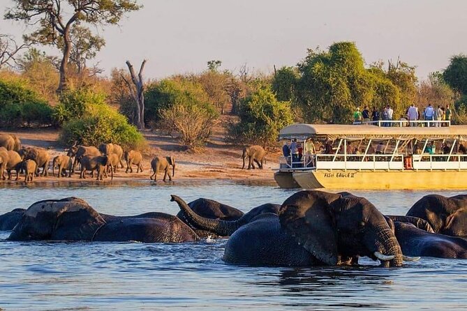 Full Day Tour to Chobe National Park and Botswana - Key points at a glance
