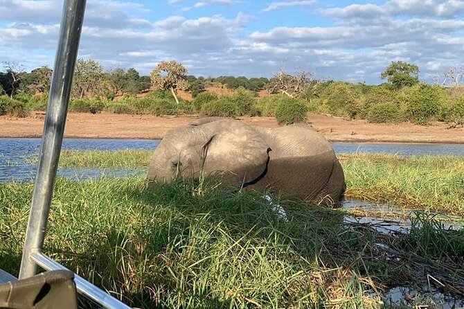 Full Day Tour to Chobe National Park and Botswana - Why Chobe makes a strong day trip from Livingstone
