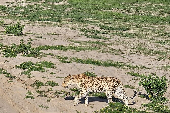 Full Day Tour to Chobe National Park and Botswana - The Chobe River cruise