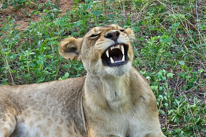 Full Day Tour to Chobe National Park and Botswana - Leaving Livingstone at about 7:00 a.m.